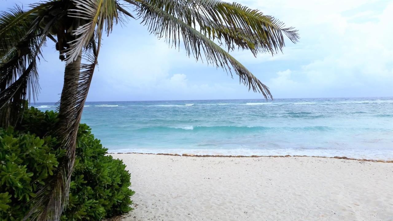 Riviera Maya Luxury Oceanfront Condo Akumal Kültér fotó